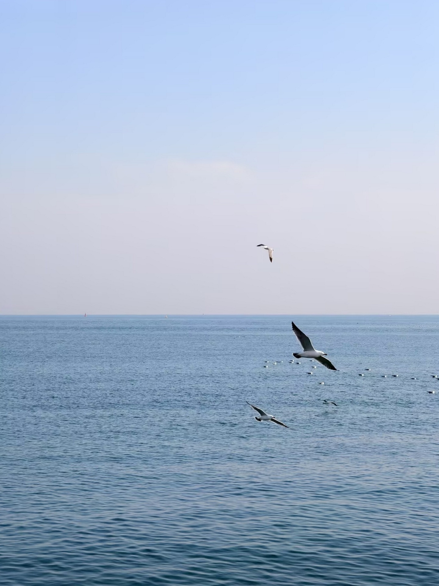 home-banner-background