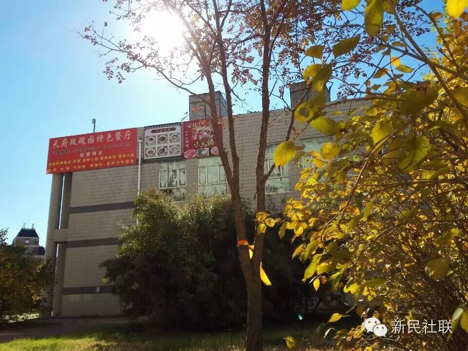 公众号旧照片