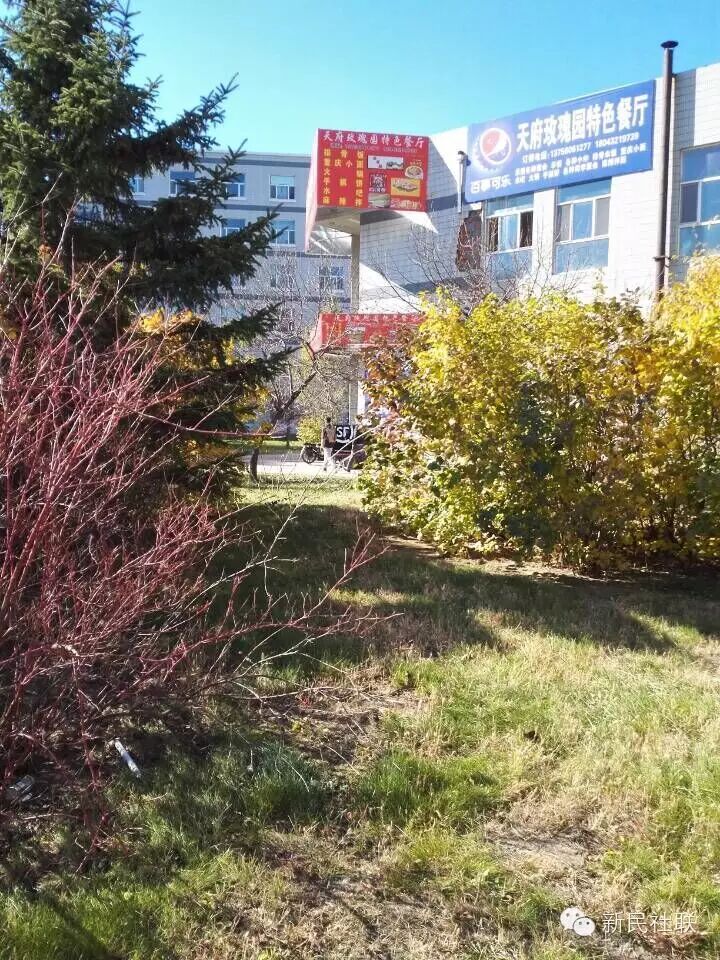 公众号旧照片 2